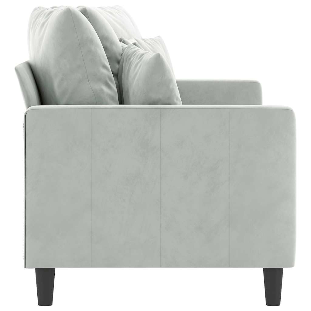 Light Gray Velvet 2-Seater Sofa D74205