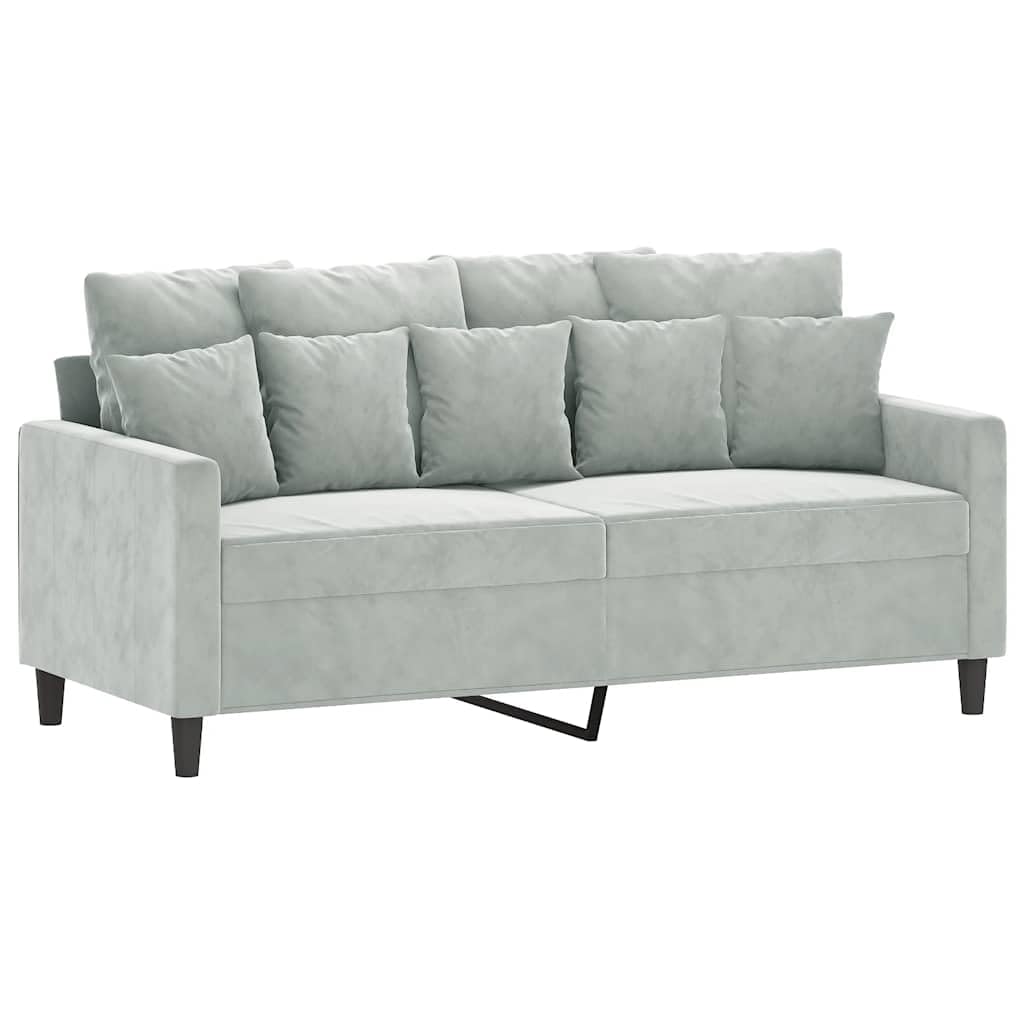 Light Gray Velvet 2-Seater Sofa D74205