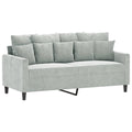 Light Gray Velvet 2-Seater Sofa D74205