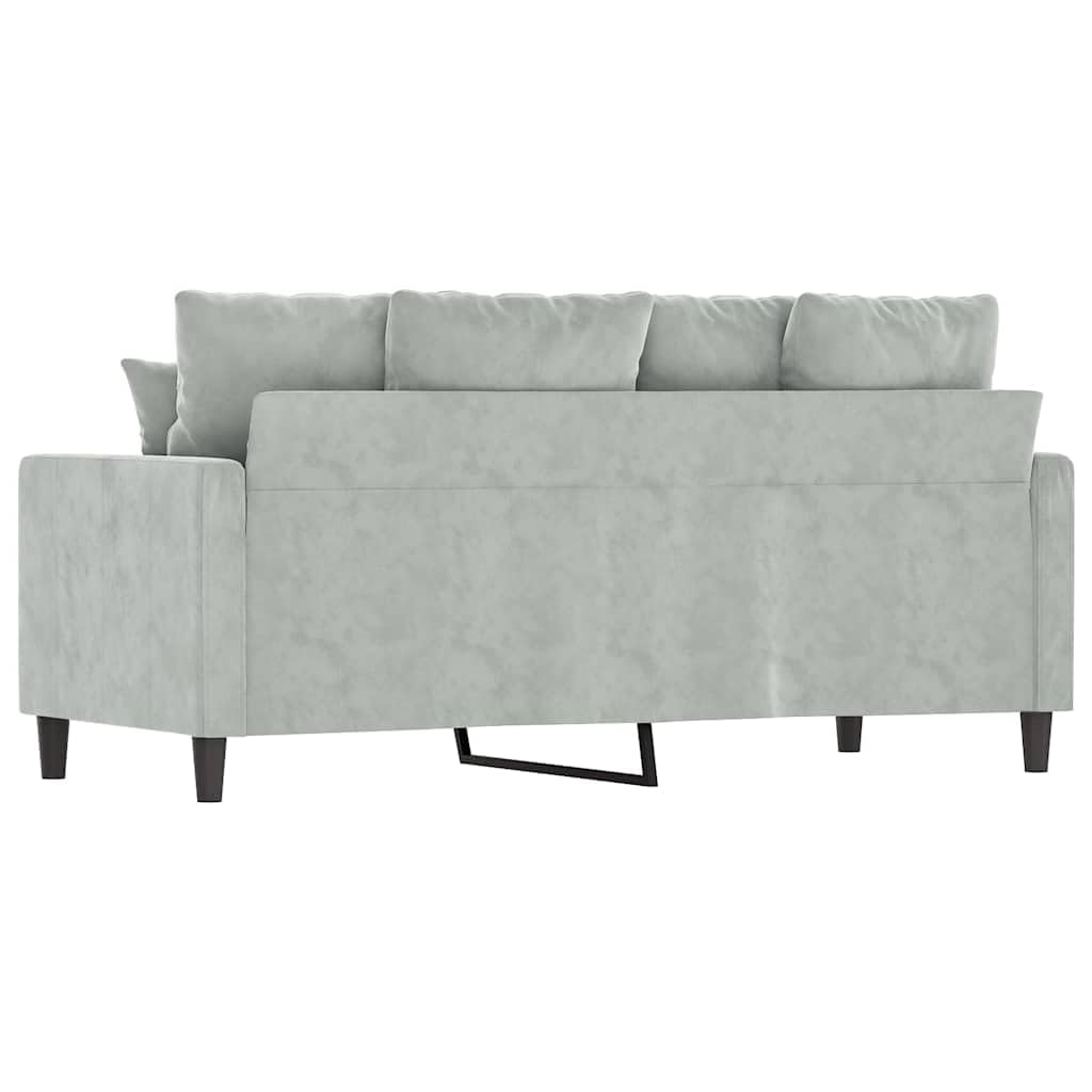 Light Gray Velvet 2-Seater Sofa D74205