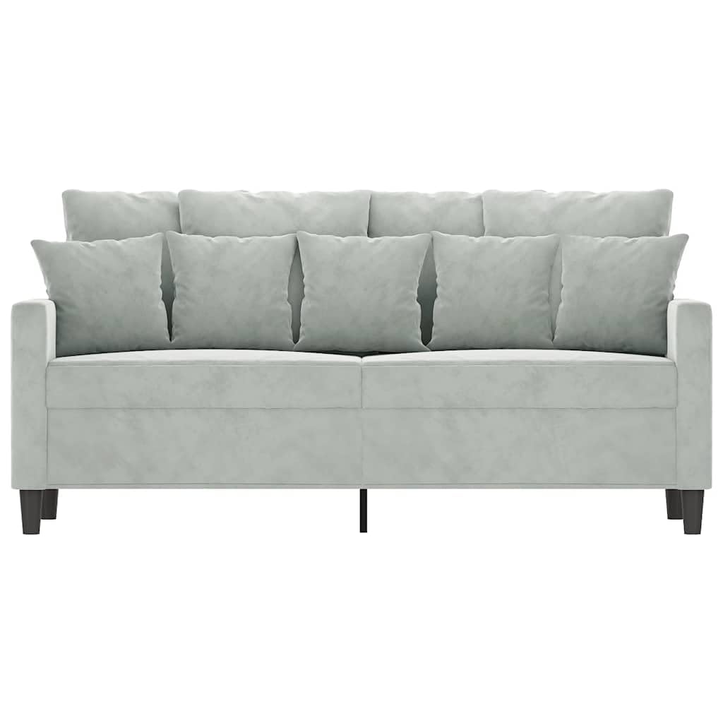 Light Gray Velvet 2-Seater Sofa D74205