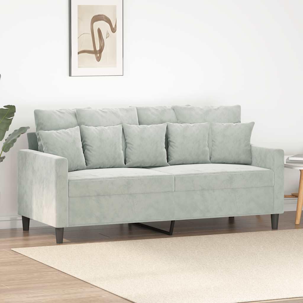Light Gray Velvet 2-Seater Sofa D74205