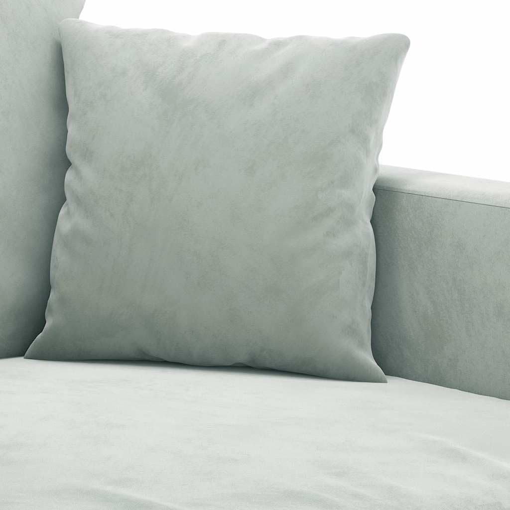 Light Gray Velvet 2-Seater Sofa D74205
