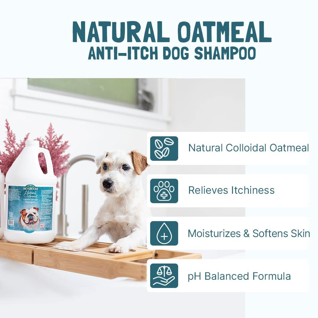 Oatmeal Dog Shampoo 1 Gallon M5925