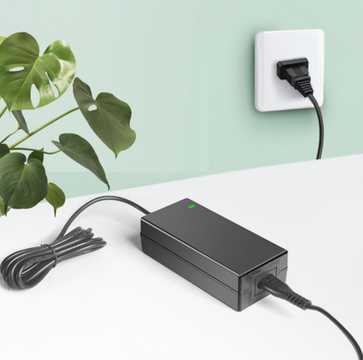 42V AC/DC Charger I597055