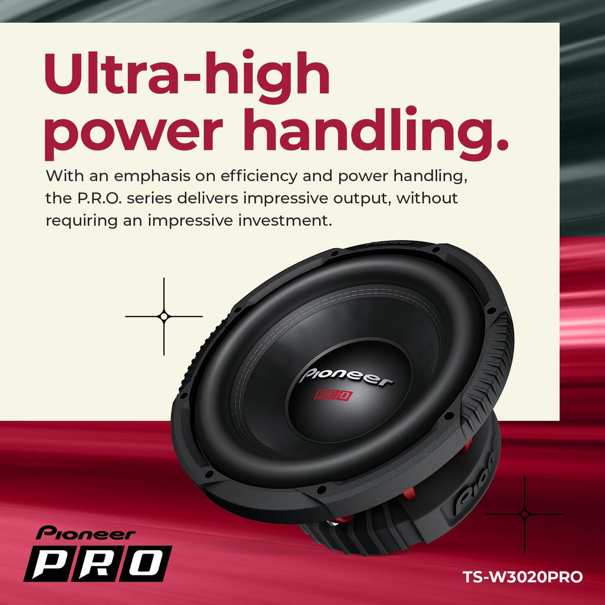 12" Subwoofer 2000W Max A694
