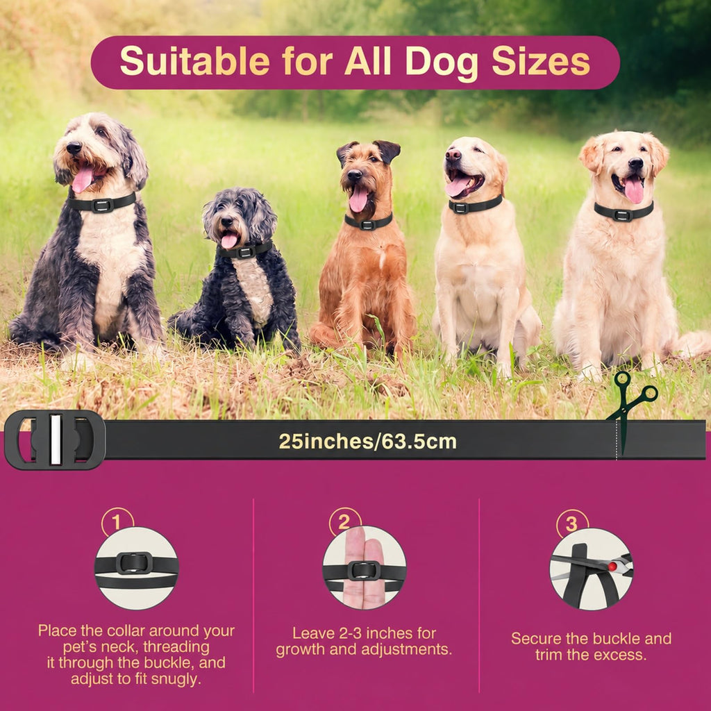 4 Pack Dog Flea Collar B59935