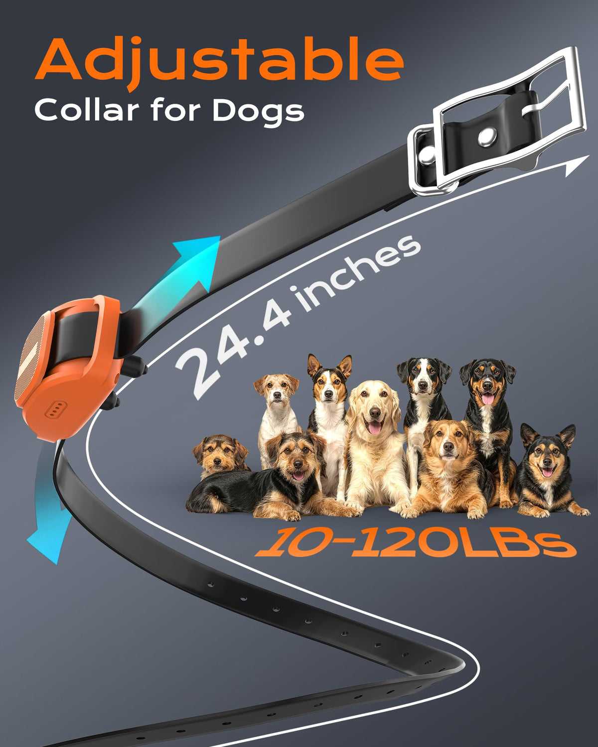 Dog Training Collar with Remote X3385