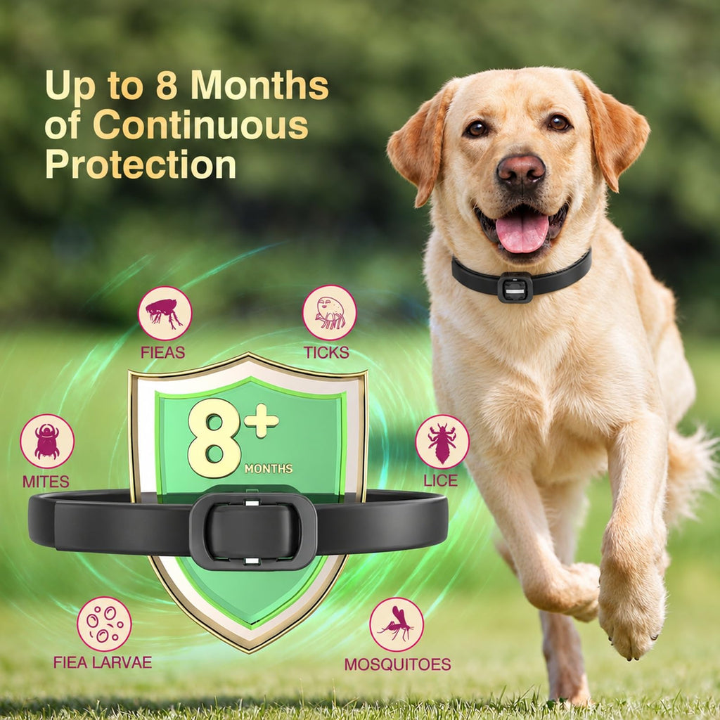 4 Pack Dog Flea Collar B59935