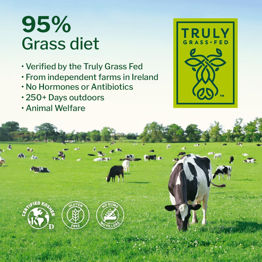 Chocolate Grass Fed Whey Protein Isolate Powder, 5 lb X70202