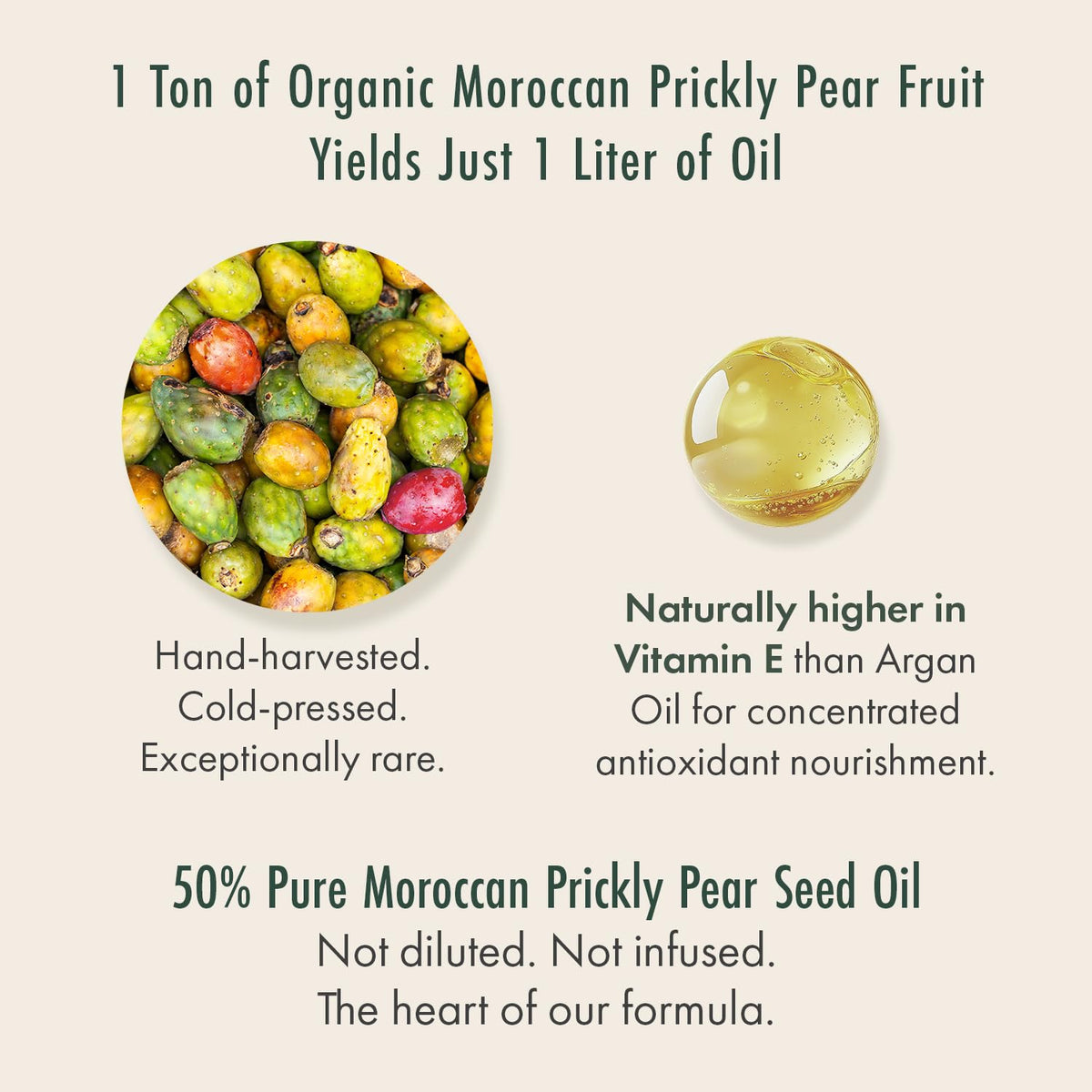 Organic Moroccan Prickly Pear Seed Oil & Camellia Face Oil 1oz T326