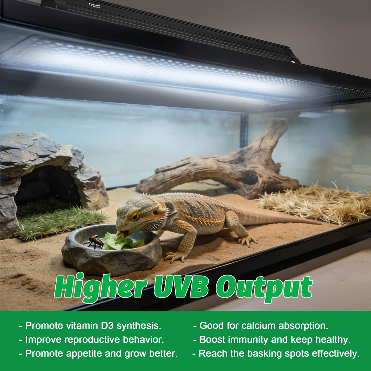15W T8 UVB Reptile Light Fixture 18 Inch N4862