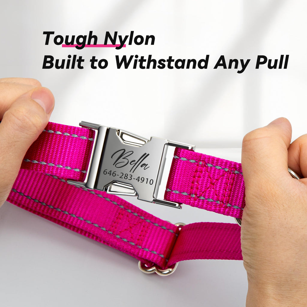 Reflective Dog Collar with Engraved ID Tag H976365