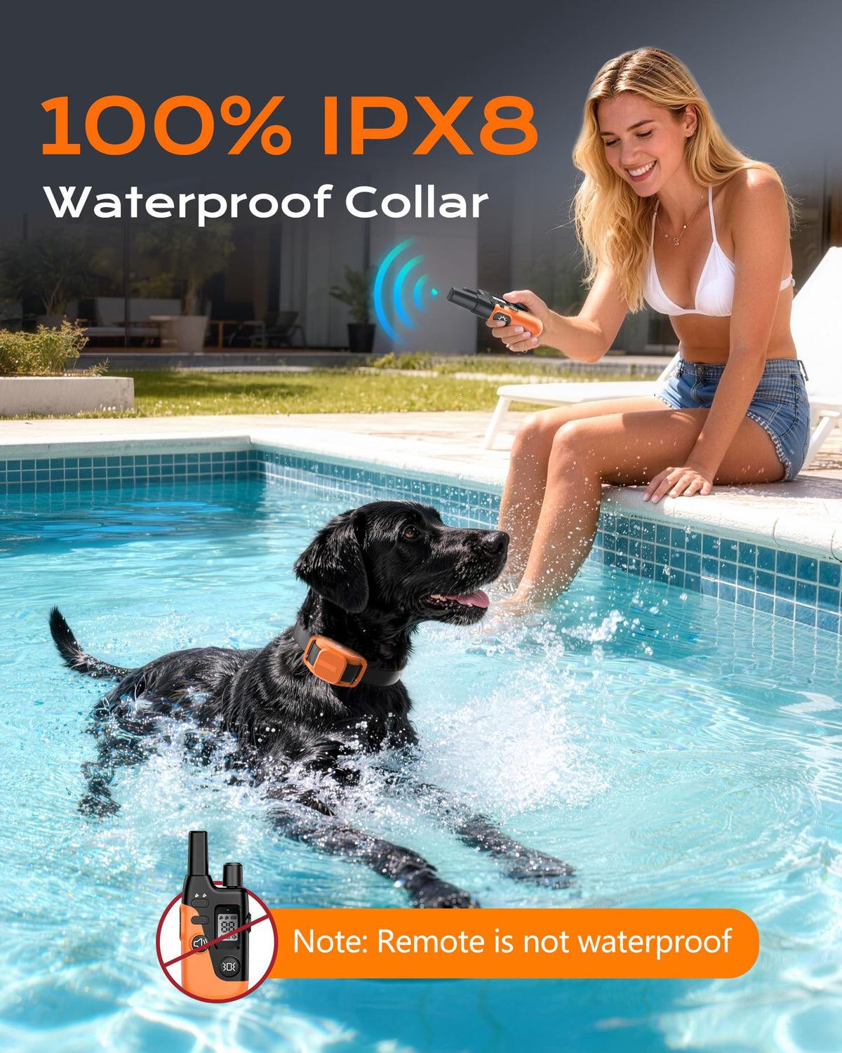 Dog Training Collar with Remote X3385