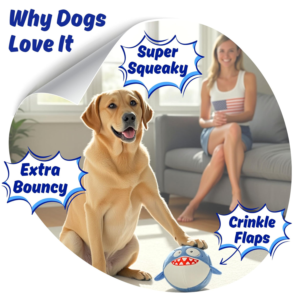 Tough Squeaky Chew Ball Dog Toy N728709