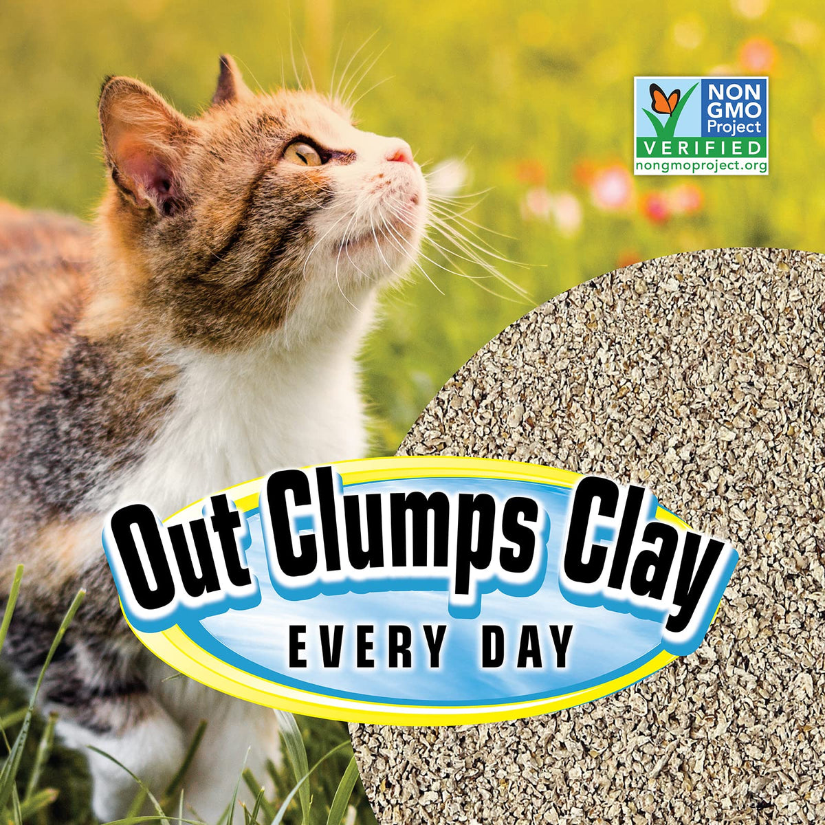 All Natural Clumping Cat Litter, 20 Pound, Unscented, Lightweight B91029