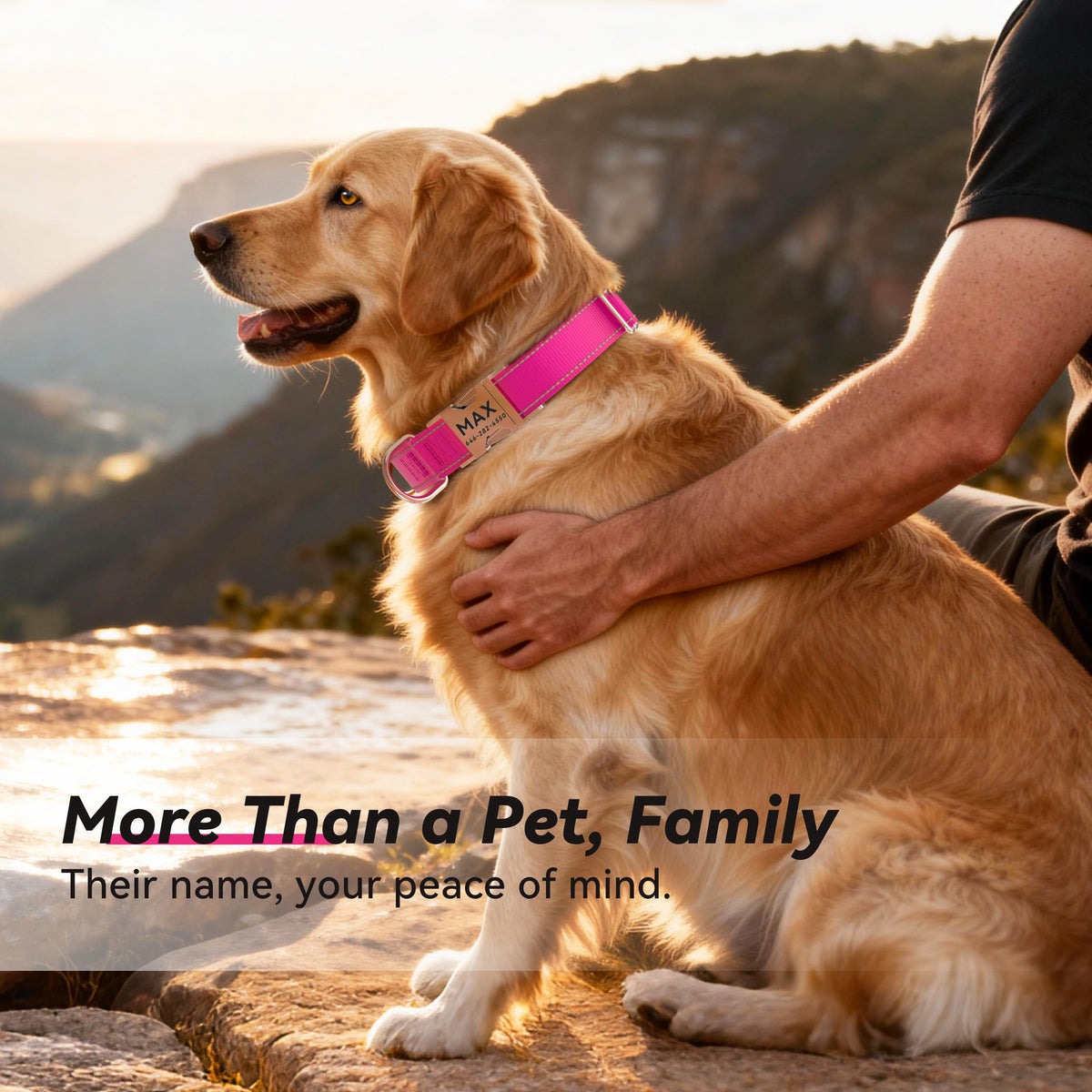 Reflective Dog Collar with Engraved ID Tag H976365