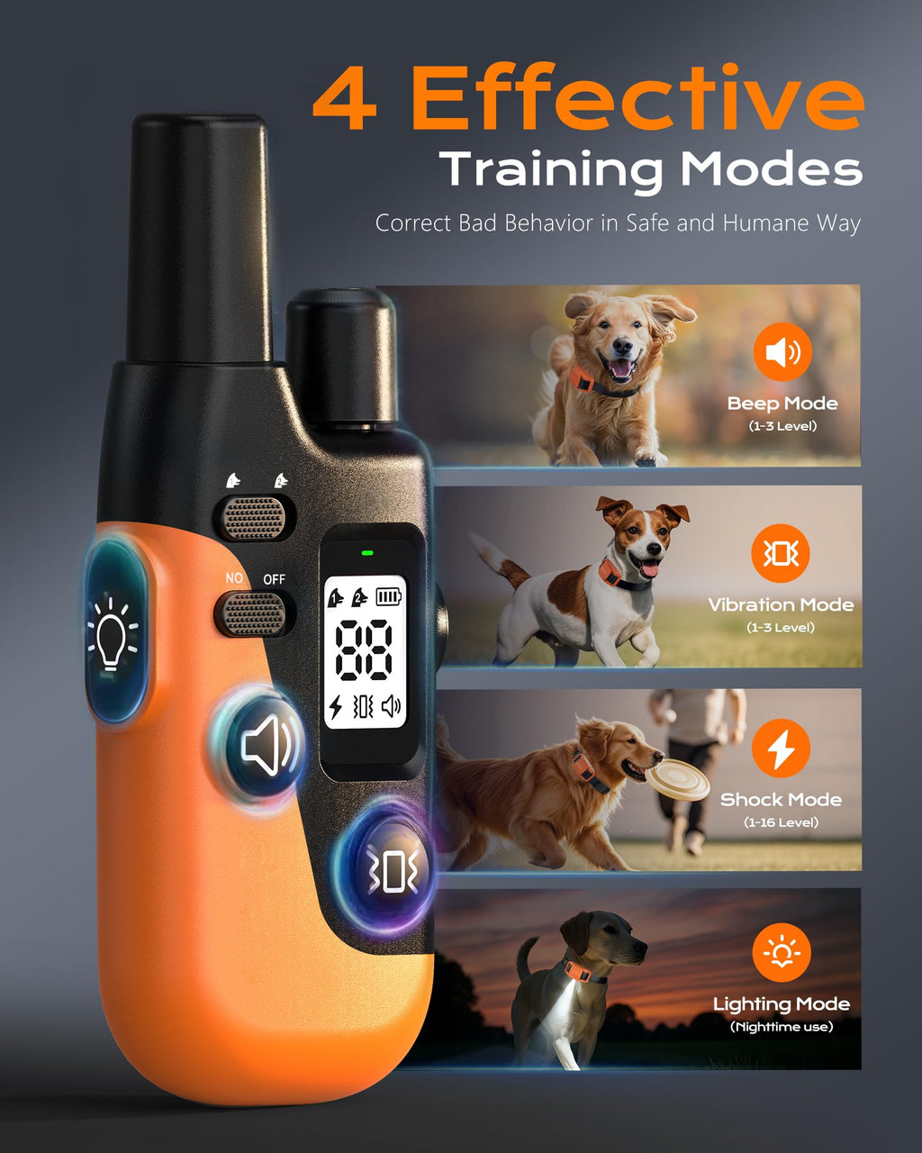 Dog Training Collar with Remote X3385