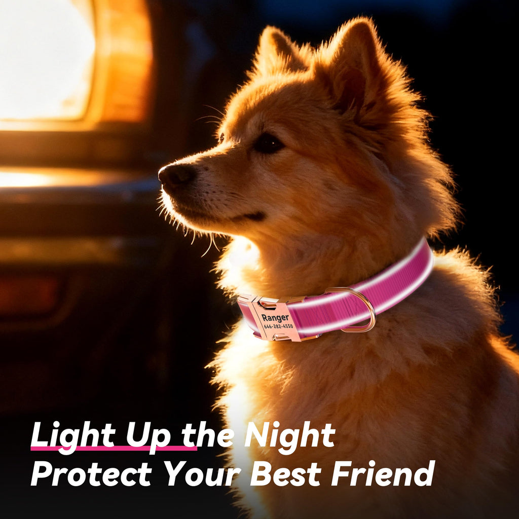 Reflective Dog Collar with Engraved ID Tag H976365