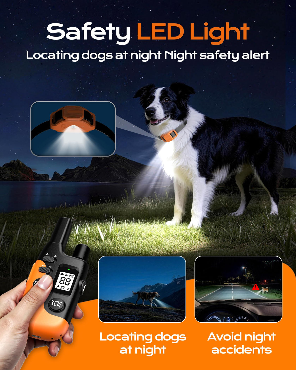 Dog Training Collar with Remote X3385