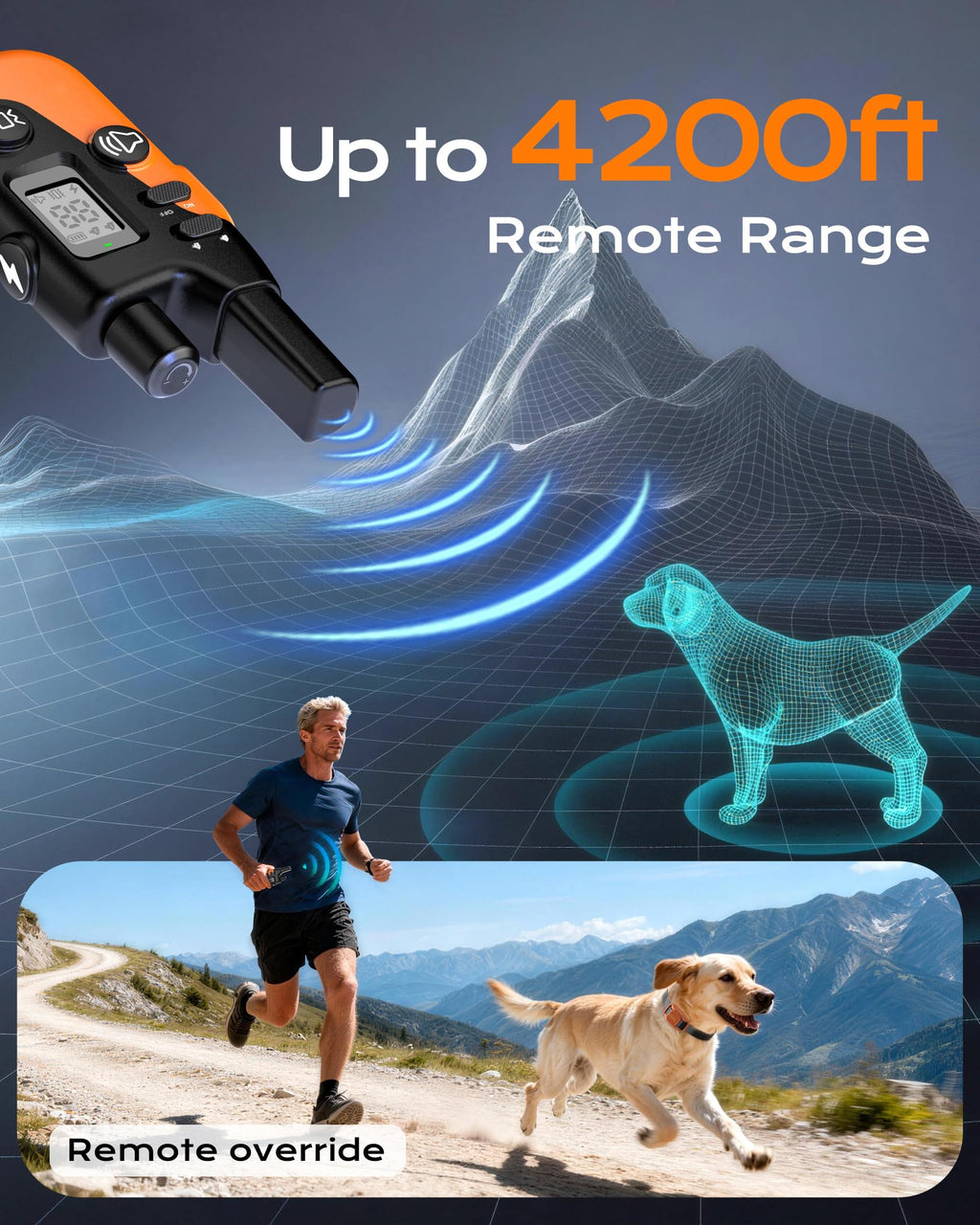 Dog Training Collar with Remote X3385