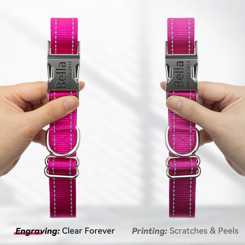 Reflective Dog Collar with Engraved ID Tag H976365