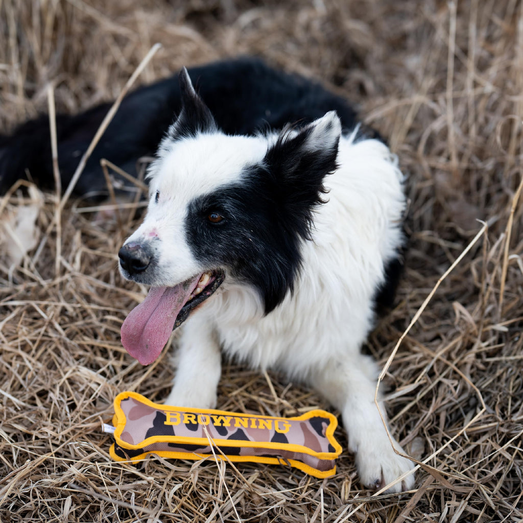Canvas Bone Toy H346