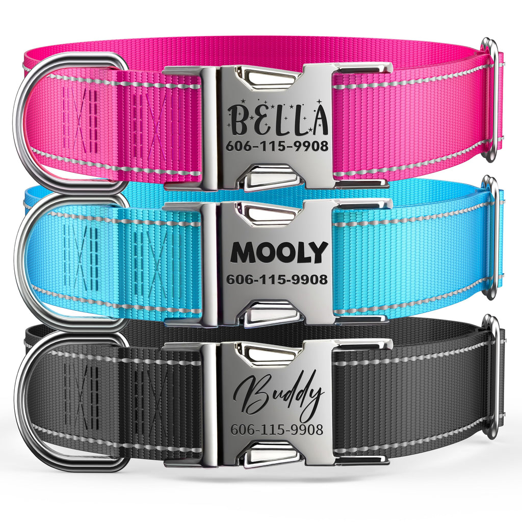 Reflective Dog Collar with Engraved ID Tag H976365
