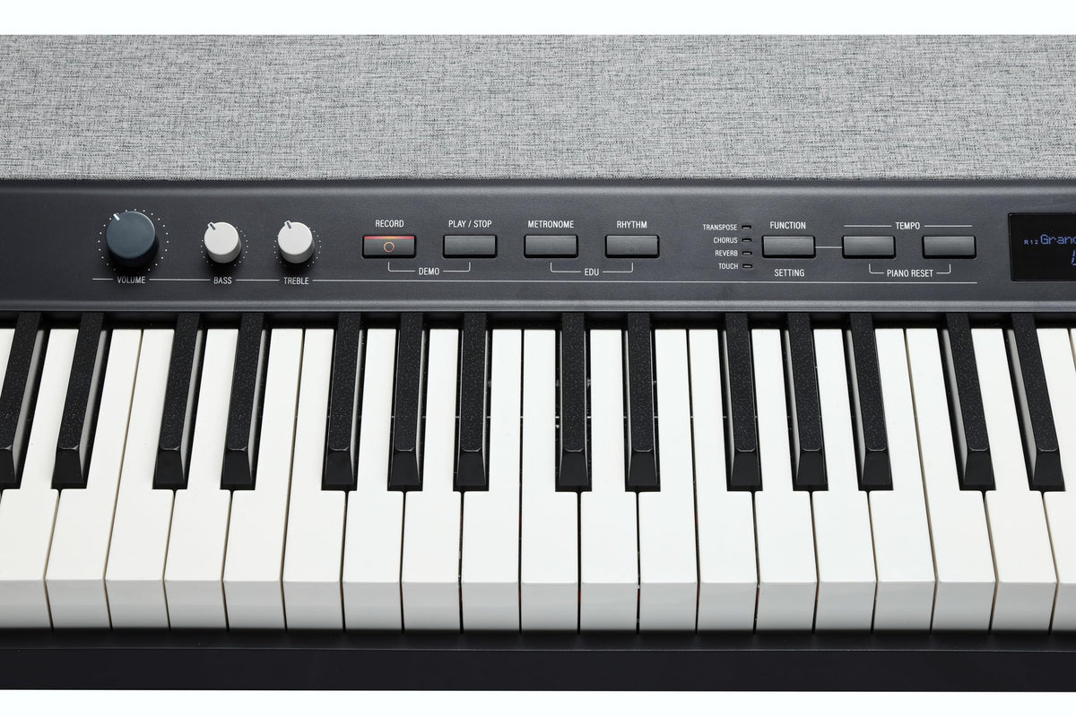 88-Key Fully-Weighted Hammer Action Portable Digital Piano Y841419