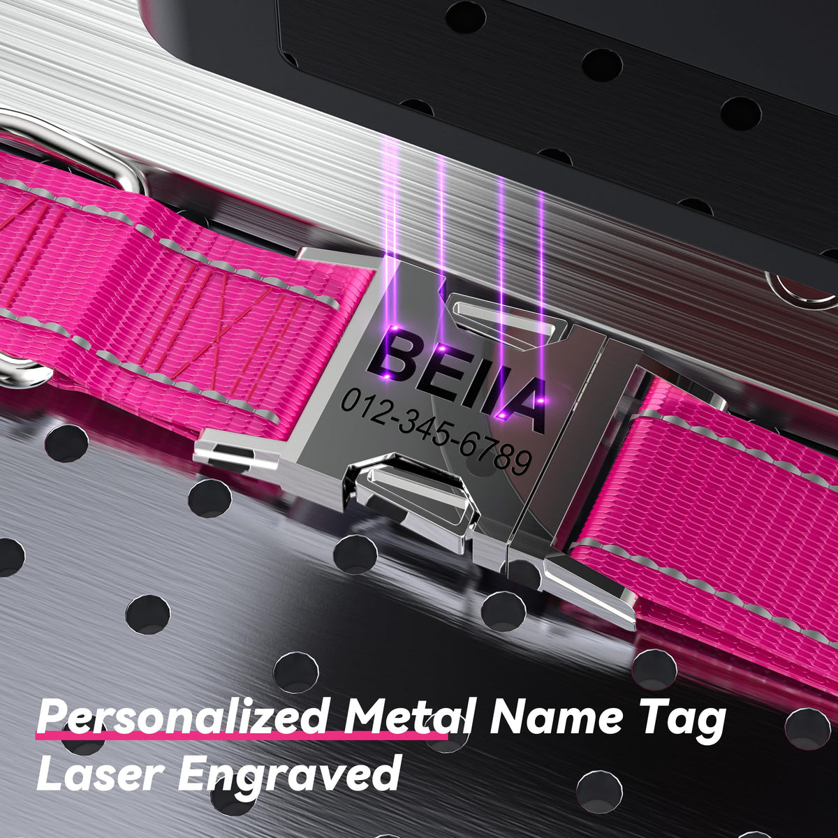 Reflective Dog Collar with Engraved ID Tag H976365