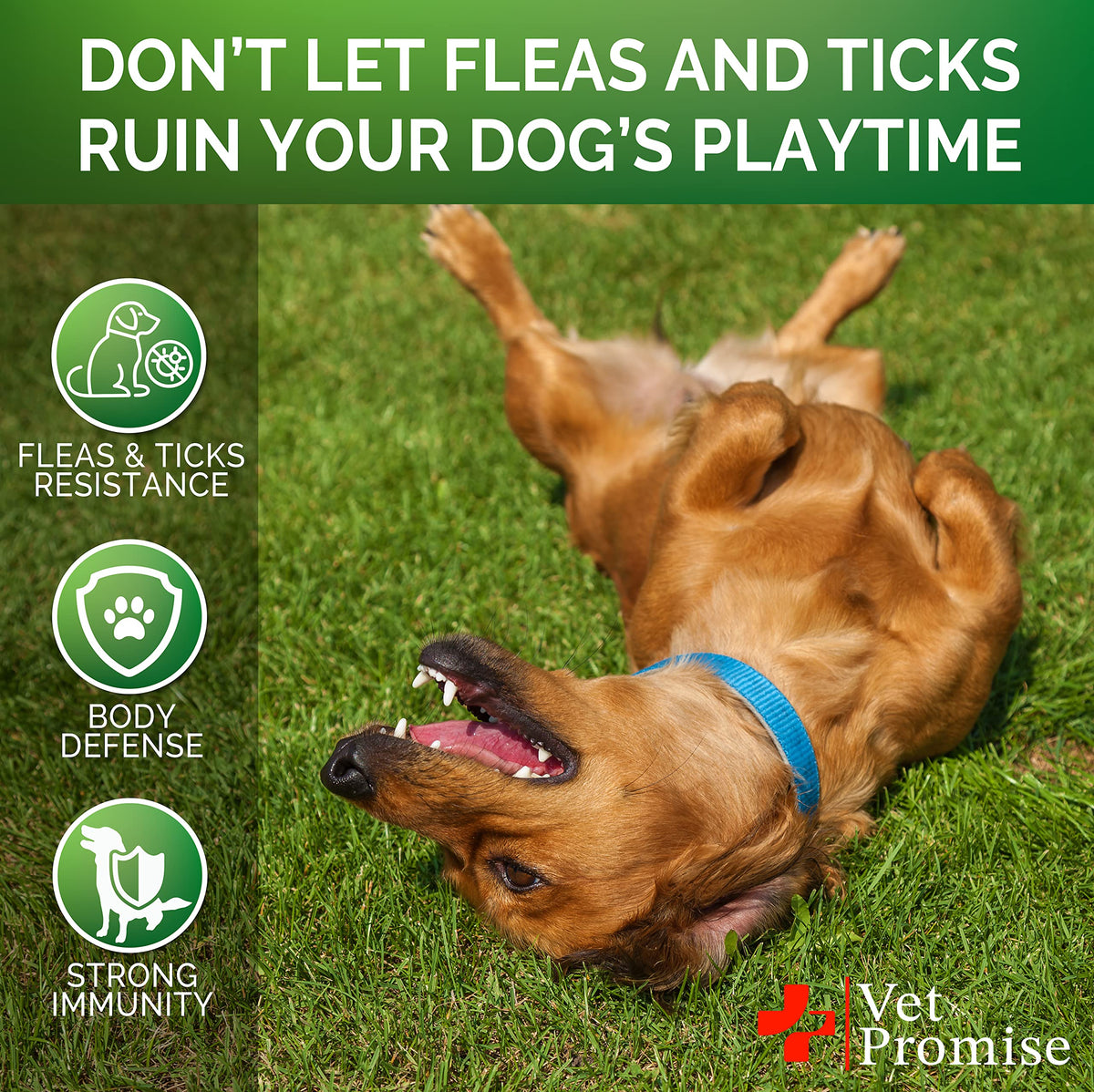 Flea and Tick Prevention for Dogs Chewables B131015